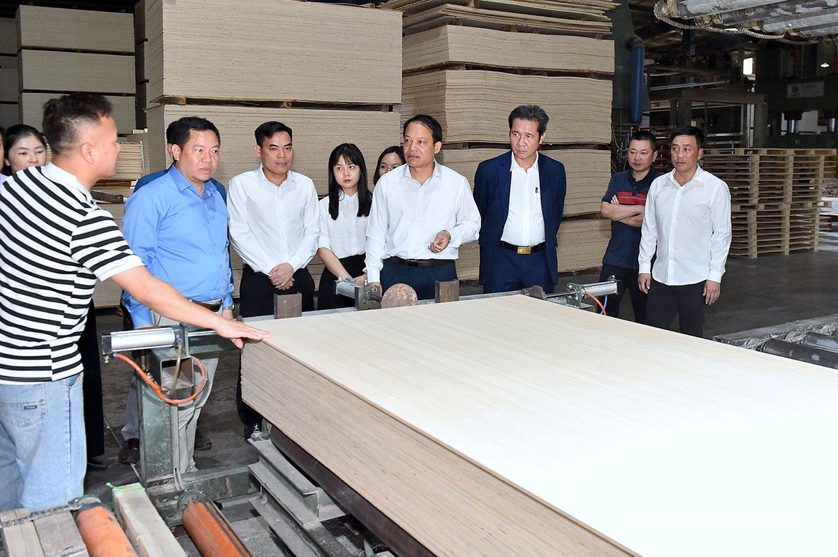 Trưởng Ban Quản lý các khu công nghiệp và kinh tế cửa khẩu Vân Đình Thảo thăm Nhà máy gỗ ván ép Sao Việt Plywood – Công ty TNHH Sao Việt Tuyên Quang.