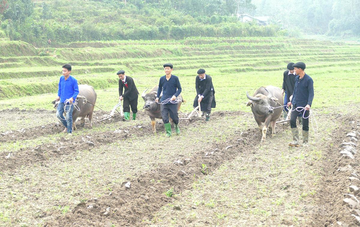 Nghi thức Tịch điền tại Lễ hội Lồng Tồng lần thứ nhất xã Quang Bình