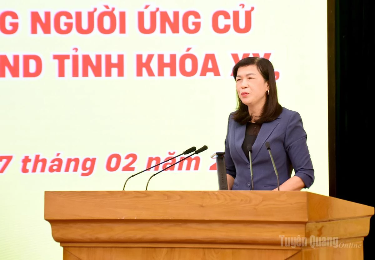 Đồng chí Phạm Thị Minh Xuân, Ủy viên Ban Thường vụ Tỉnh ủy, Phó Chủ tịch HĐND tỉnh chia sẻ những kỹ năng chuẩn bị chương trình hành động chuẩn bị vận động bầu cử.