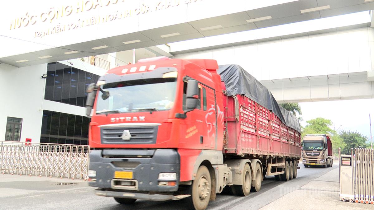 Chỉ tính riêng 10 ngày từ mùng 1 Tết Nguyên Đán đến nay đã có khoảng 100 xe có hàng hóa thông quan qua Cửa khẩu quốc tế Thanh Thủy