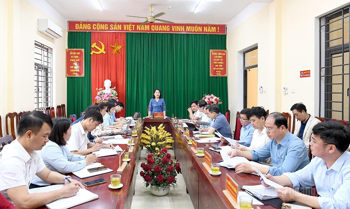 Đồng chí Trưởng đoàn ĐBQH chuyên trách tỉnh Lý Thị Lan, Trưởng đoàn kiểm tra chủ trì buổi làm việc.