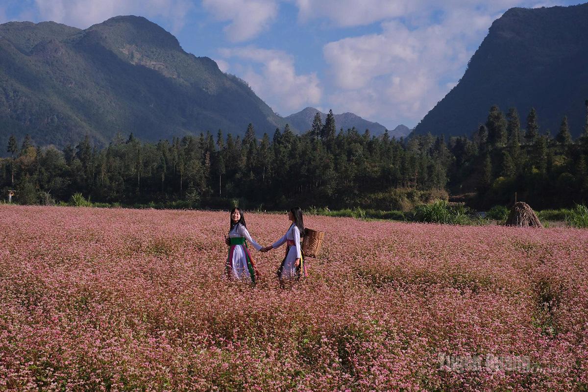 As flowers return, the rocky plateau dons a beauty that is at once rugged and poetic.