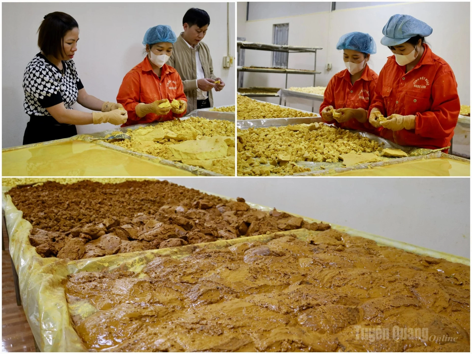 Following sedimentation, the turmeric starch is separated into two products: fine light-yellow starch and brown resin used as a seasoning.