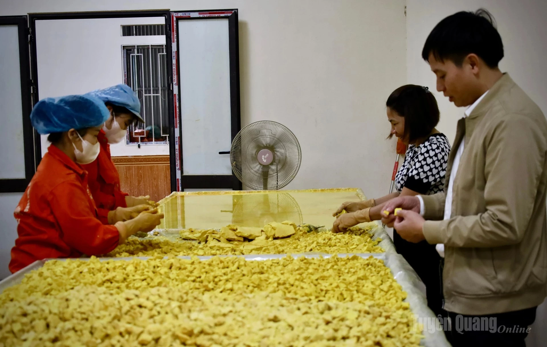 Members of Ngoc Son General Agriculture and Forestry Cooperative break and separate the starch after sedimentation, preparing it for drying to ensure quality standards.