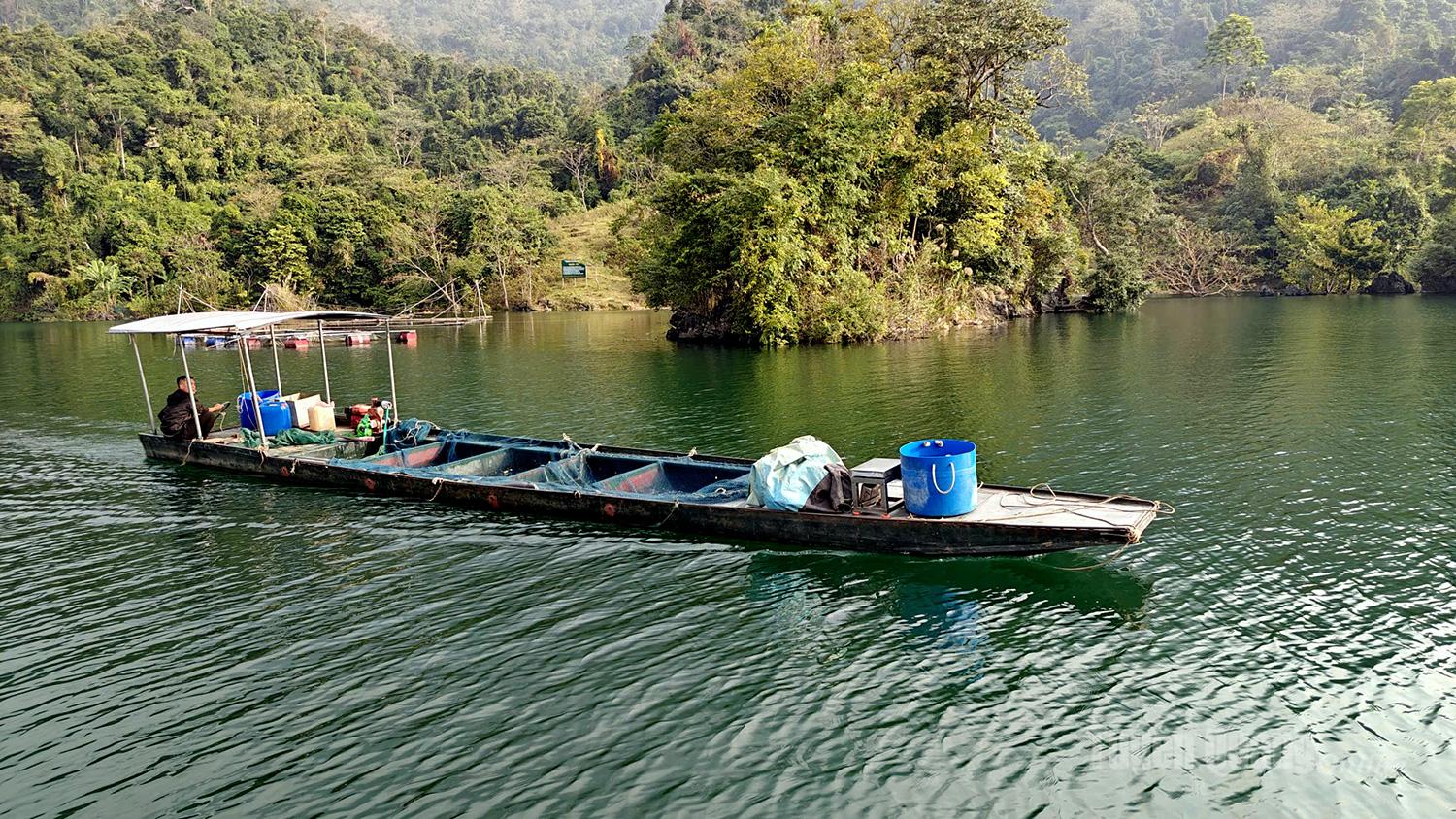 The fish are transported ashore.
