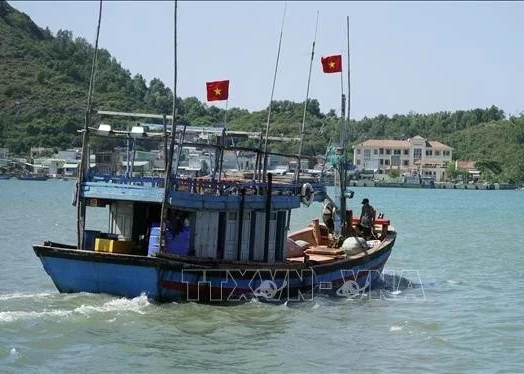 Illustrative photo (Photo: VNA)