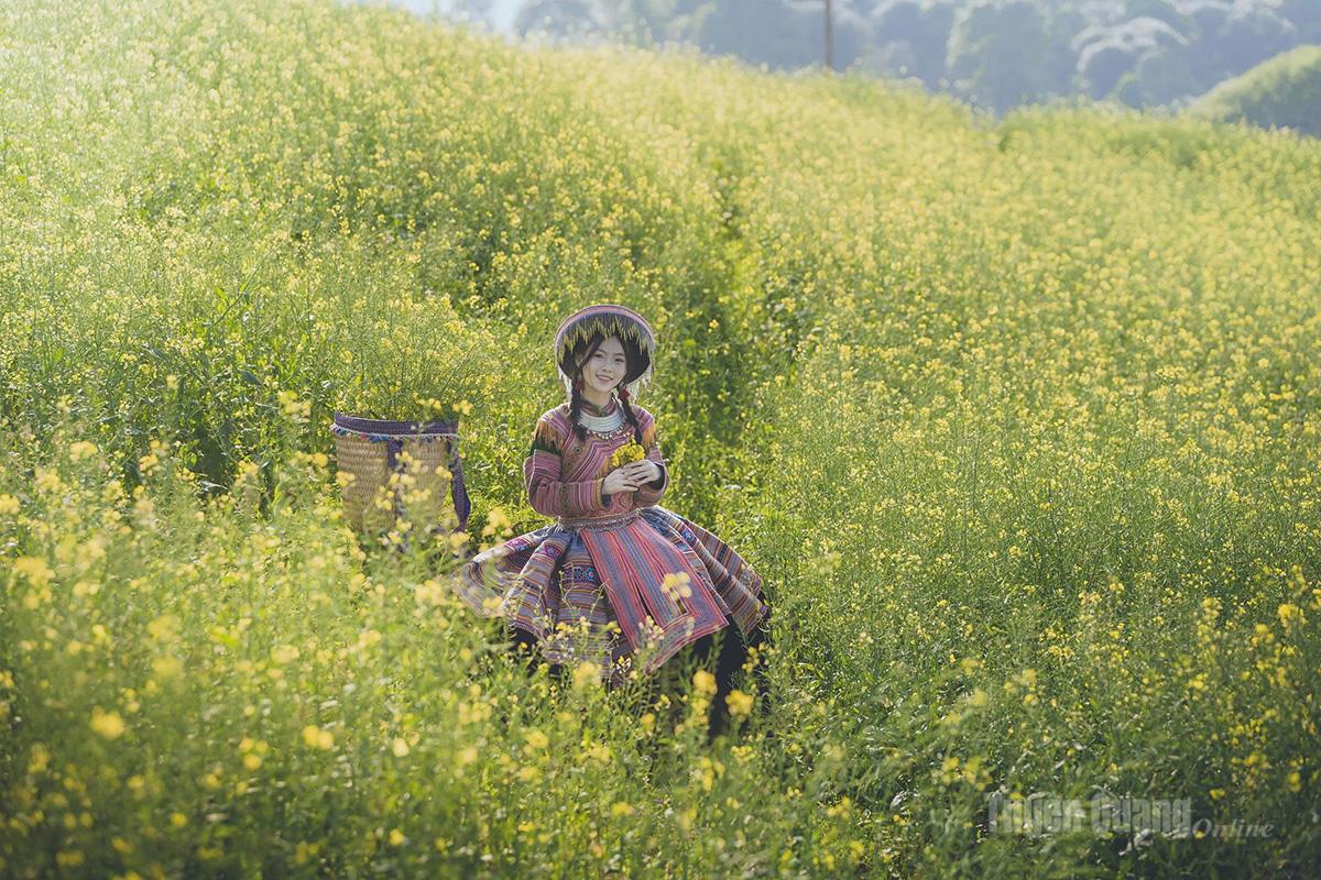 Tiny flower petals trembling in the wind create a mesmerizing beauty that captivates visitors; these blossoms have helped invigorate the province’s tourism sector.