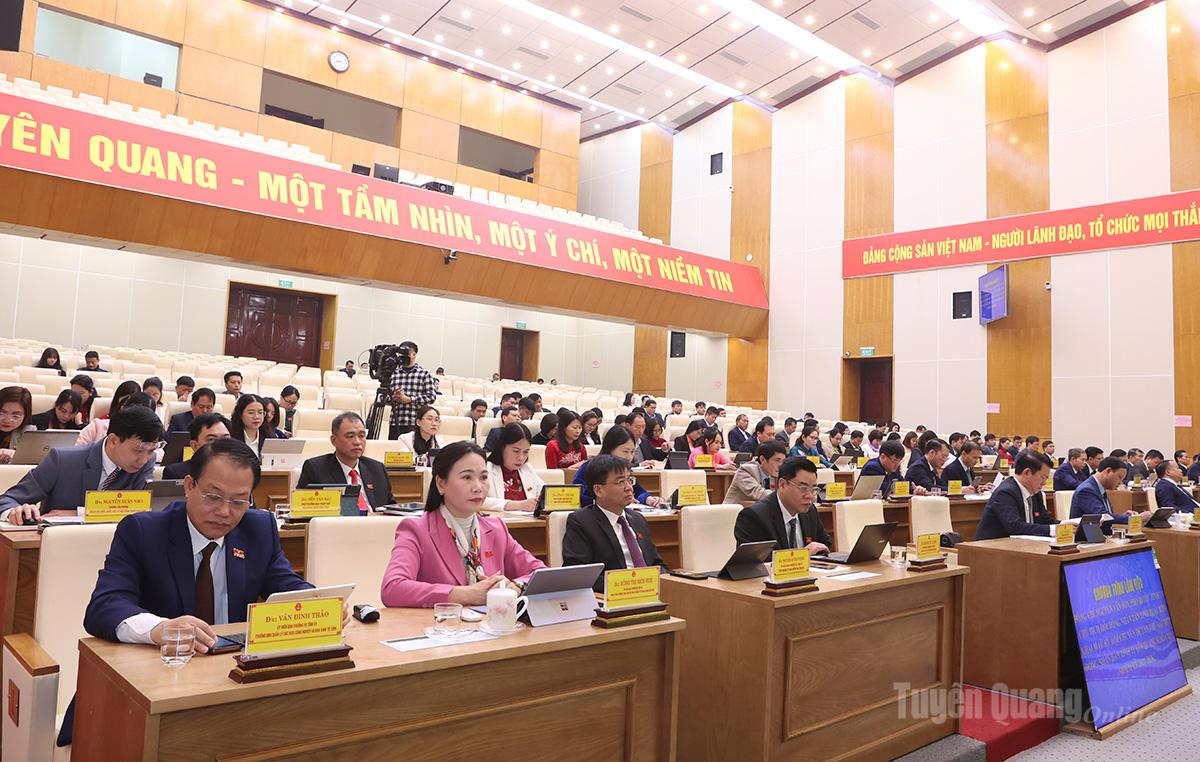 Các đại biểu dự kỳ họp.