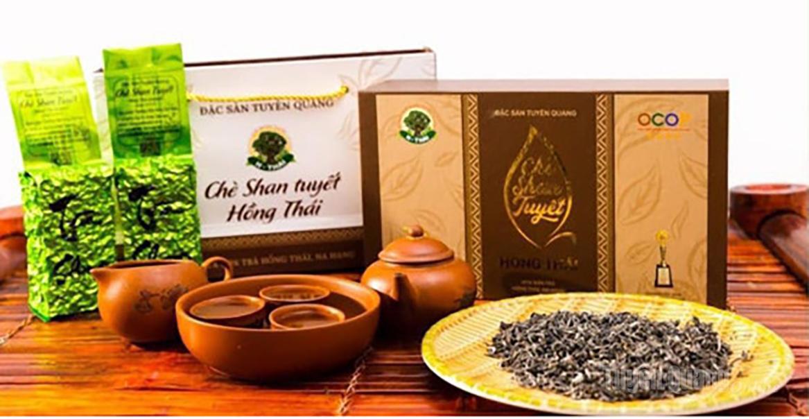 Chè Shan tuyết Hồng Thái được vinh danh
Thương hiệu Vàng Nông nghiệp Việt Nam
và đạt chứng nhận OCOP 4 sao.
