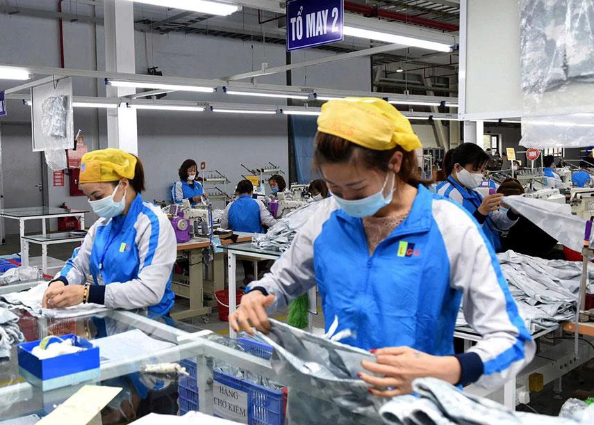 Production activities at LGG Tuyen Quang Garment Joint Stock Company.