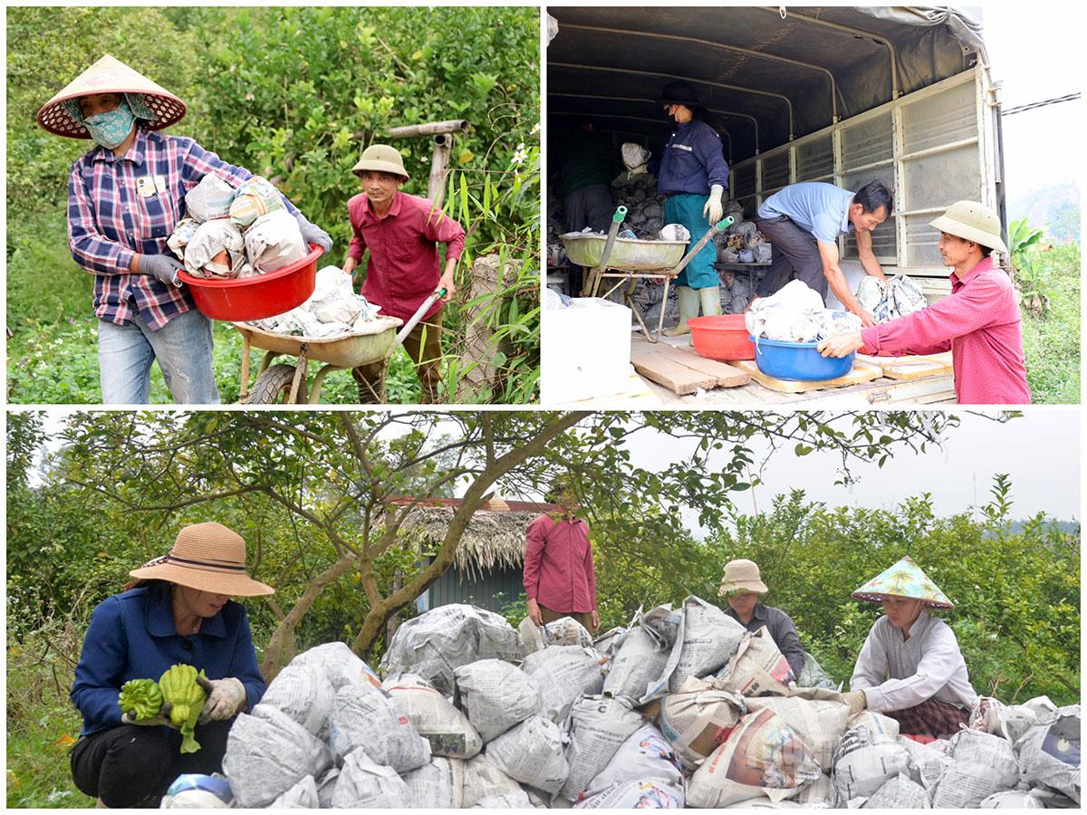 A lively and industrious working atmosphere blankets the Buddha’s hand gardens of Yen Phu Commune during the days leading up to the holiday.