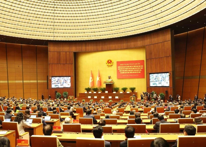 An overview of the conference (Photo: VNA)