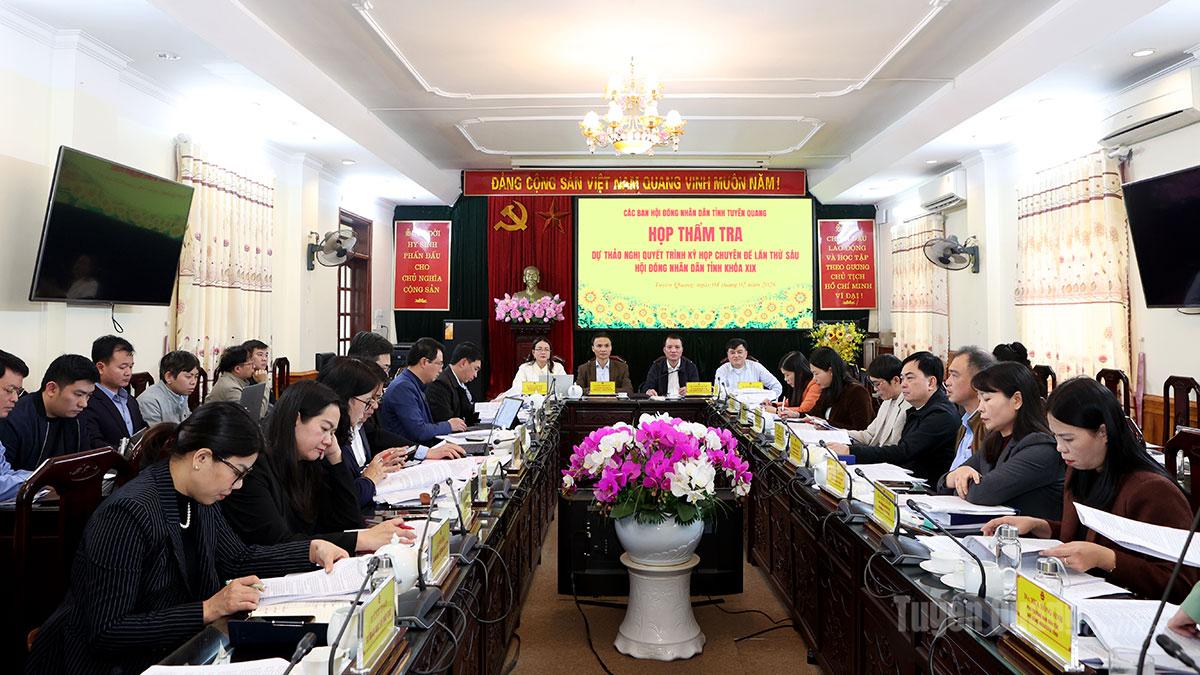 Toàn cảnh phiên họp thẩm tra.