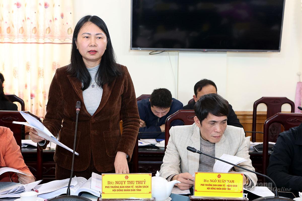 Lãnh đạo Ban Kinh tế - Ngân sách HĐND tỉnh phát biểu ý kiến.