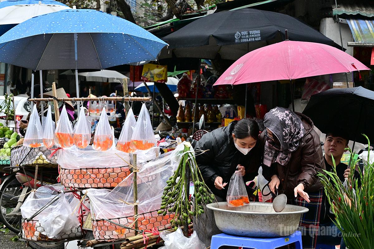 At the Tam Co Market five-way intersection on the morning of the 23rd day of the twelfth lunar month, residents were already bustling about buying carp.
