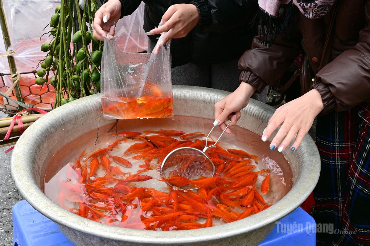 Red carp are typically favored during this occasion.
