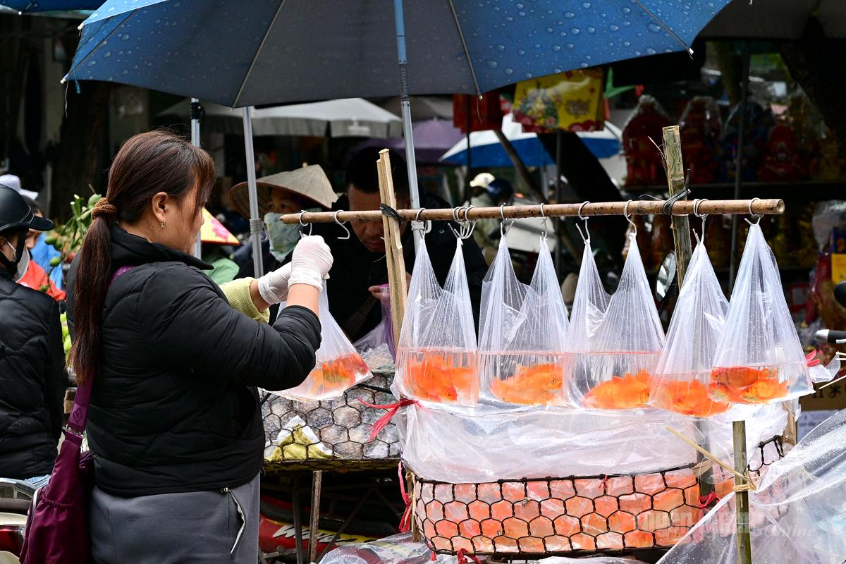 Vendors usually place three fish in a single plastic bag.