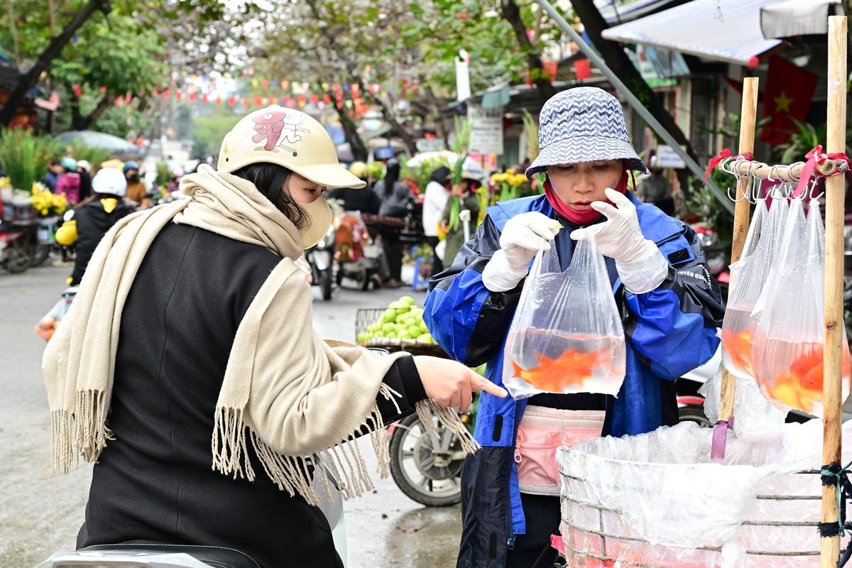 This year, the average price is VND10,000 per red carp.