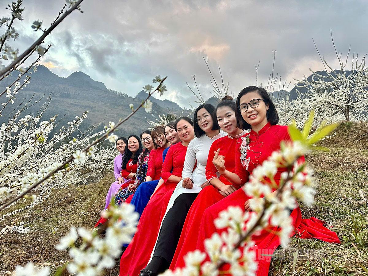 Visitors delight in the pristine white plum forests.