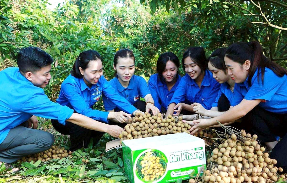 Đoàn viên thanh niên phường An Tường cùng ý tưởng livestream tiêu thụ nhãn cho Nhân dân.