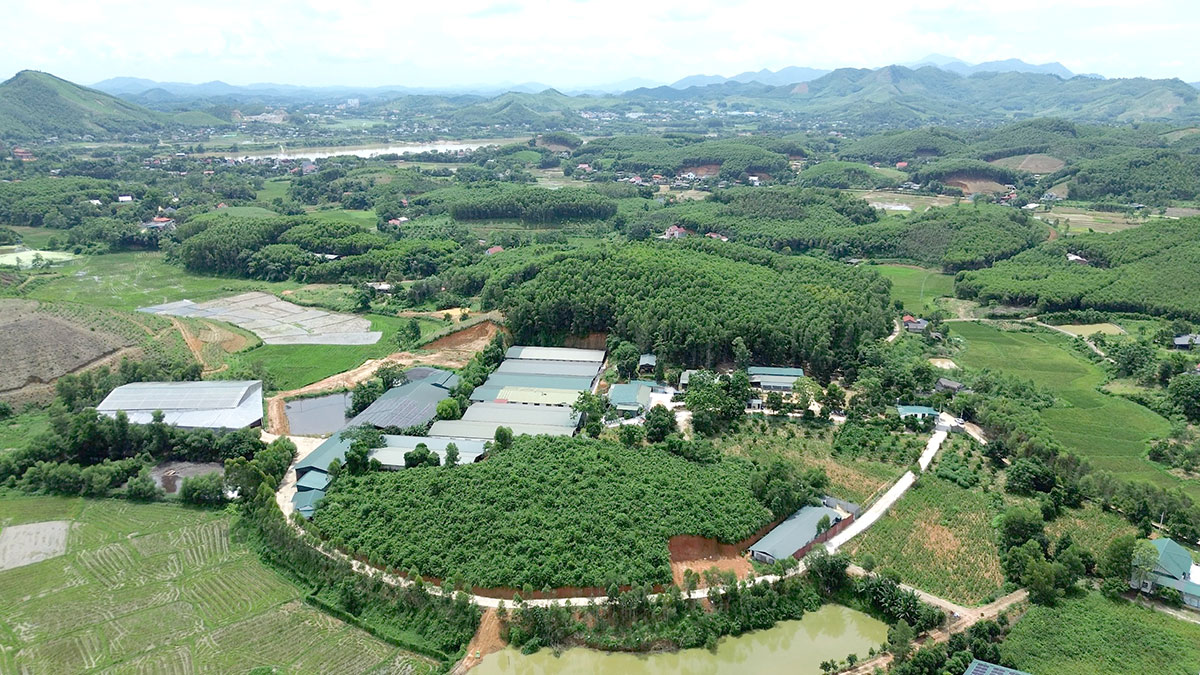 Toàn cảnh trang trại chăn nuôi theo mô hình kinh tế tuần hoàn của HTX Sáng Nhung.