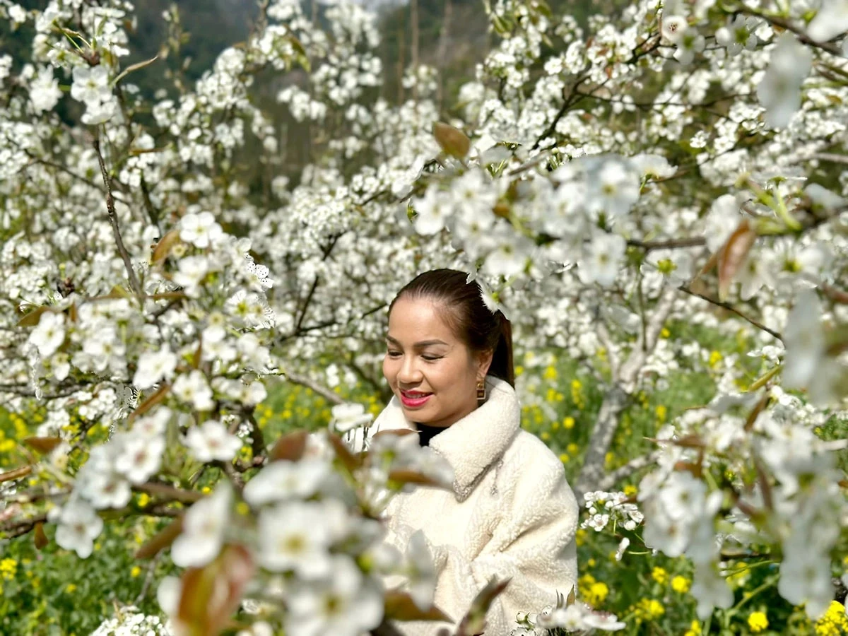 Visitors eagerly capture beautiful moments amid the pure white blossoms.