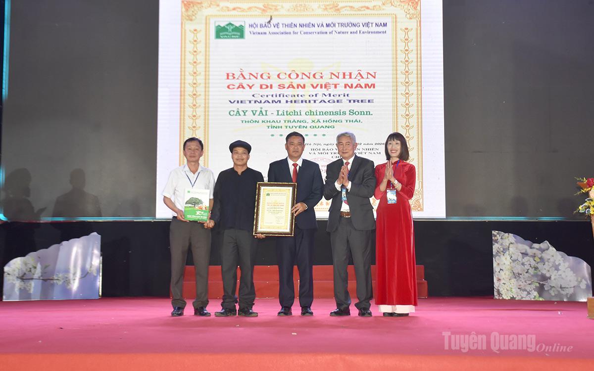 Hội Cây di sản Việt Nam đã trao Bằng công nhận Cây di sản Việt Nam cho Cây vải, thôn Khâu Tràng, xã Hồng Thái