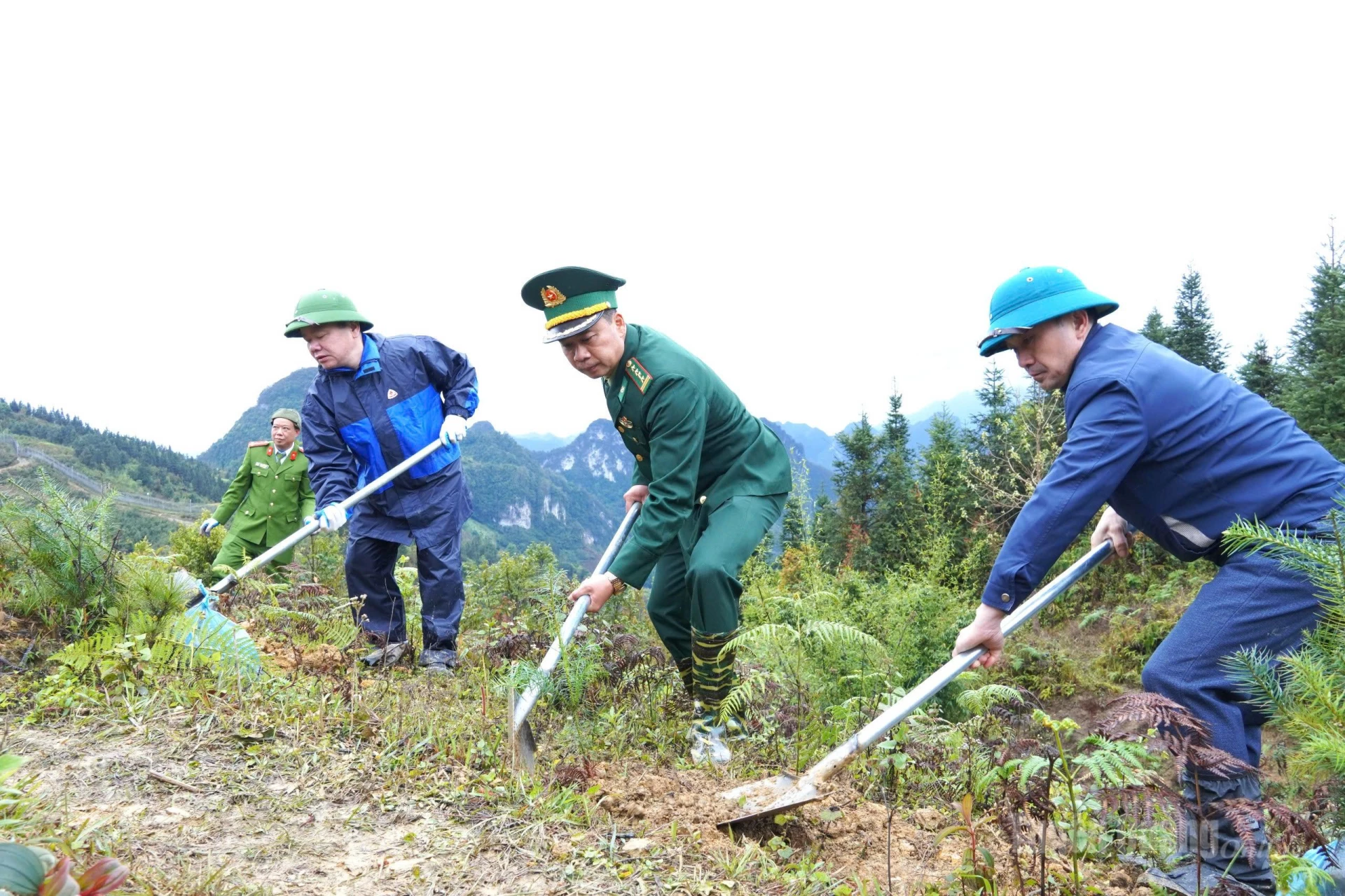 Các đại biểu tham gia trồng cây dọc tuyến biên giới.
