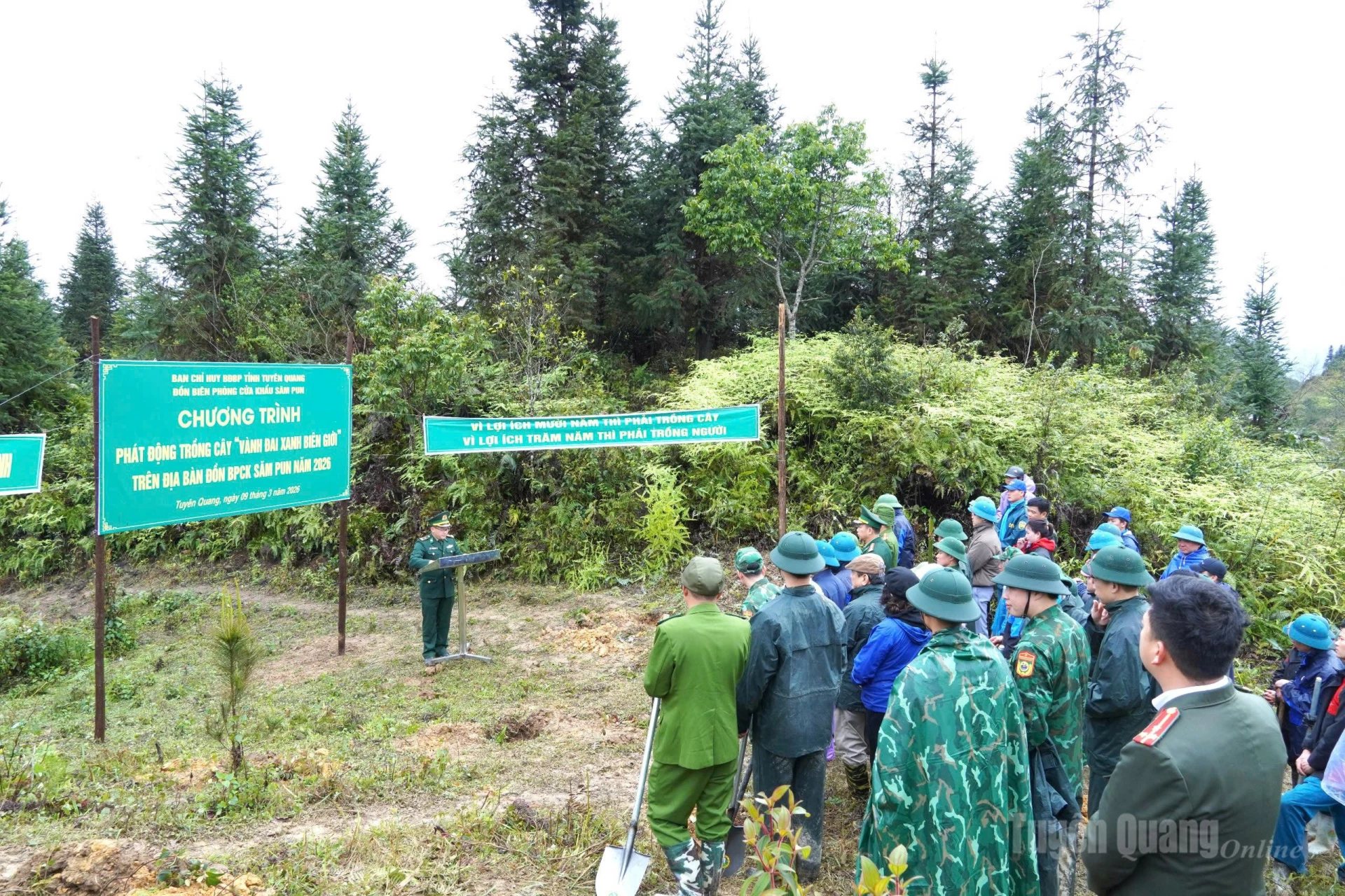 Toàn cảnh buổi trồng cây.