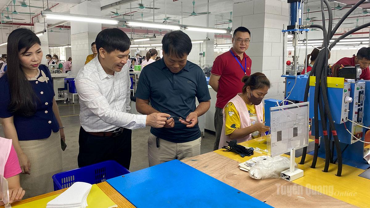 Ông Cao Hùng Dũng, Chủ tịch Liên minh HTX tỉnh thăm mô hình sản xuất của HTX Chè Minh Quang (Yên Sơn).