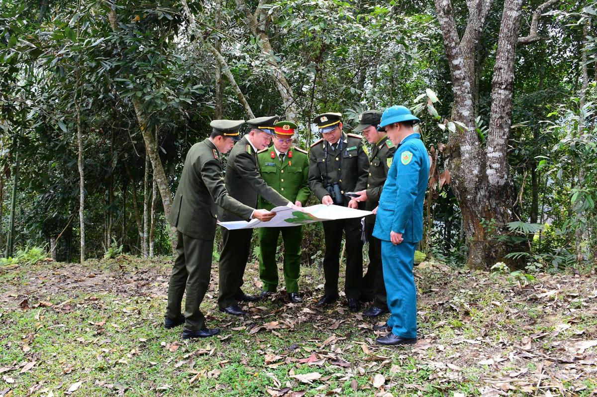 Lực lượng Hạt Kiểm lâm khu vực XIV khảo sát rừng thuộc khu vực xã Minh Sơn.