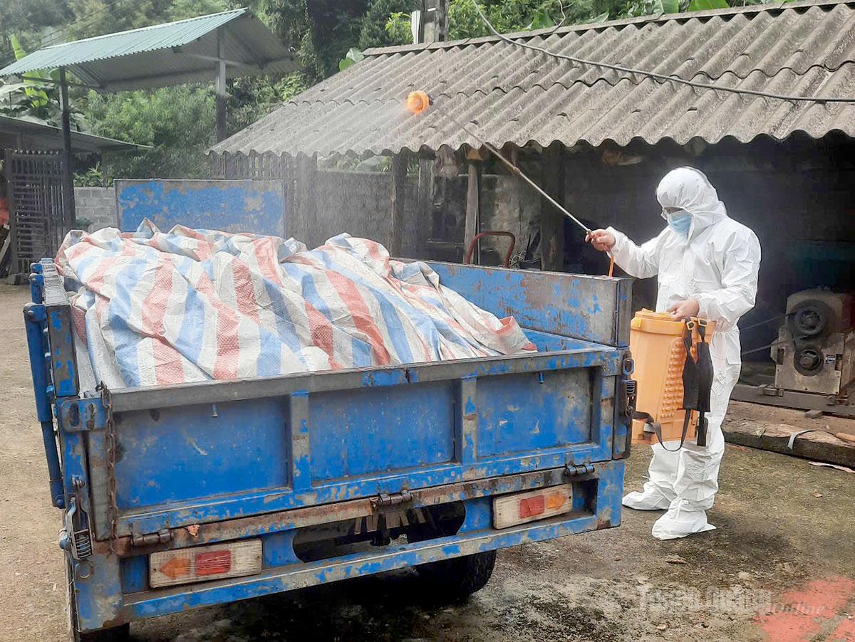 Lực lượng chức năng phun thuốc khử trùng khu vực, phương tiện vận chuyển lợn nhiễm bệnh.