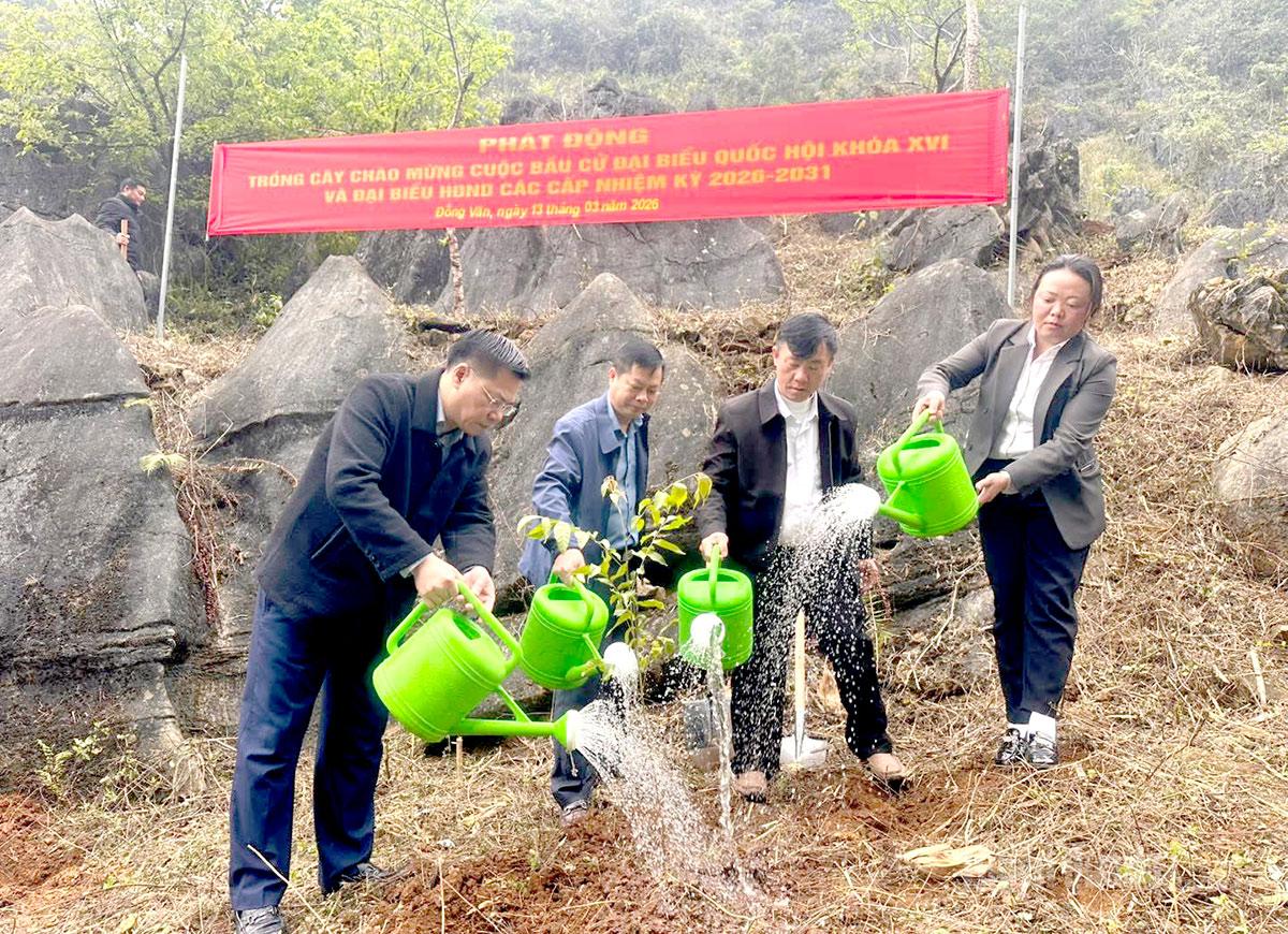 Trên 2.500 cây xanh được trồng trong đợt phát động.