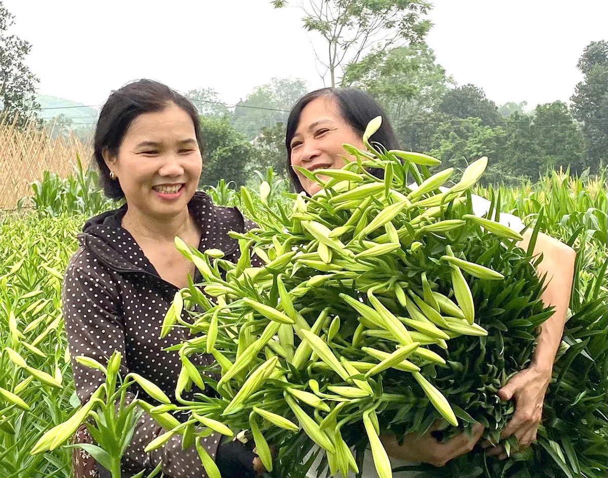 Although prices are relatively good, growers are only hoping to recover their investment, as unfavorable weather has led to lower yields compared to last year.