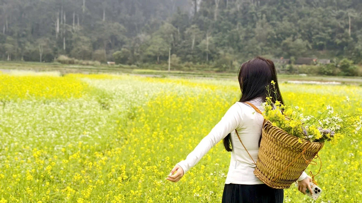 Tourists pose for commemorative photos in the mustard flower fields in Ban Bung, Na Hang Commune, Tuyen Quang Province.