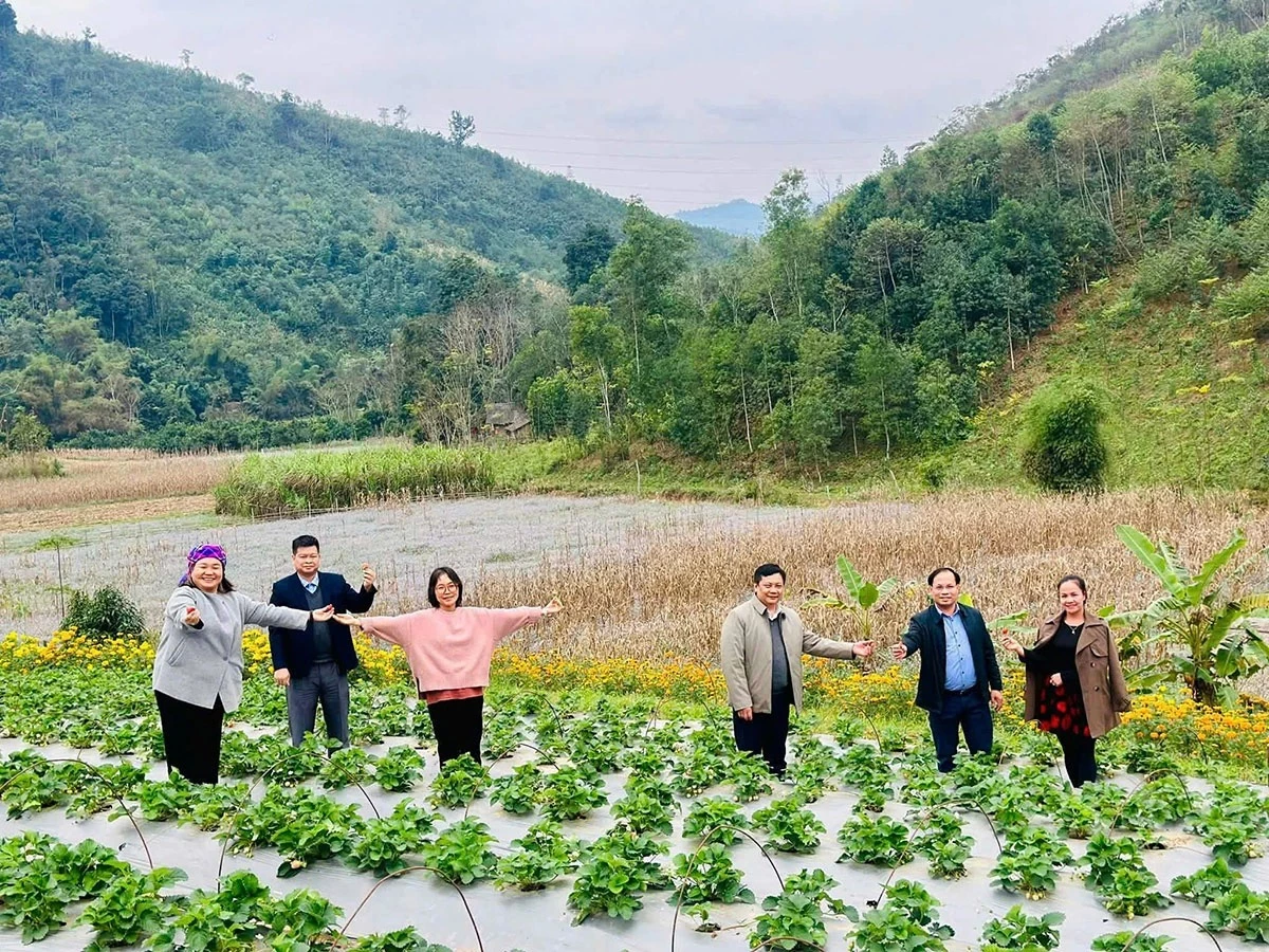 Amid the colors of spring, nature harmonizes with human life. Beyond its captivating mountains, flowers, and drifting clouds, the region leaves a lasting impression through its sincere, friendly, and resilient people - the custodians who preserve and breathe life into this distinctive land.