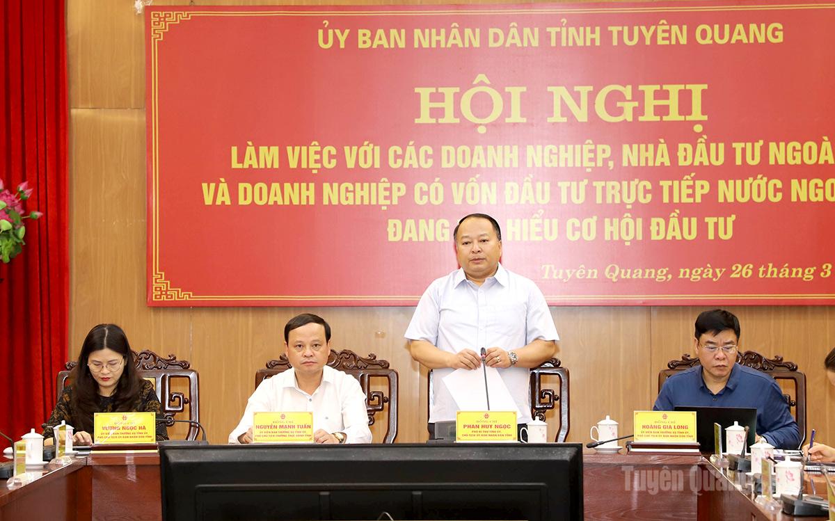 Phó Bí thư Tỉnh ủy, Chủ tịch UBND tỉnh Phan Huy Ngọc phát biểu kết luận hội nghị.