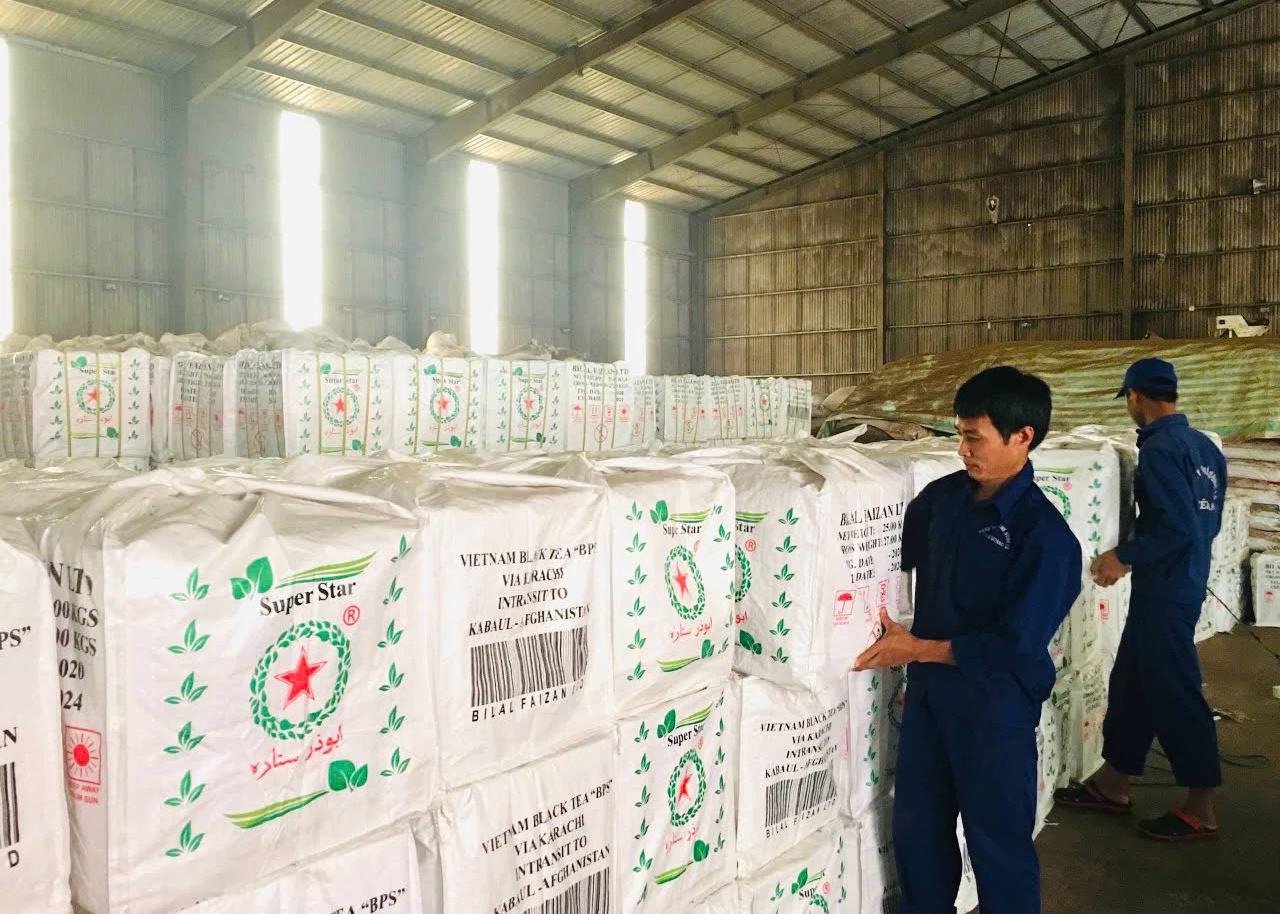 Song Lo Tea Joint Stock Company is striving to expand its markets amid volatility linked to developments in the Middle East.