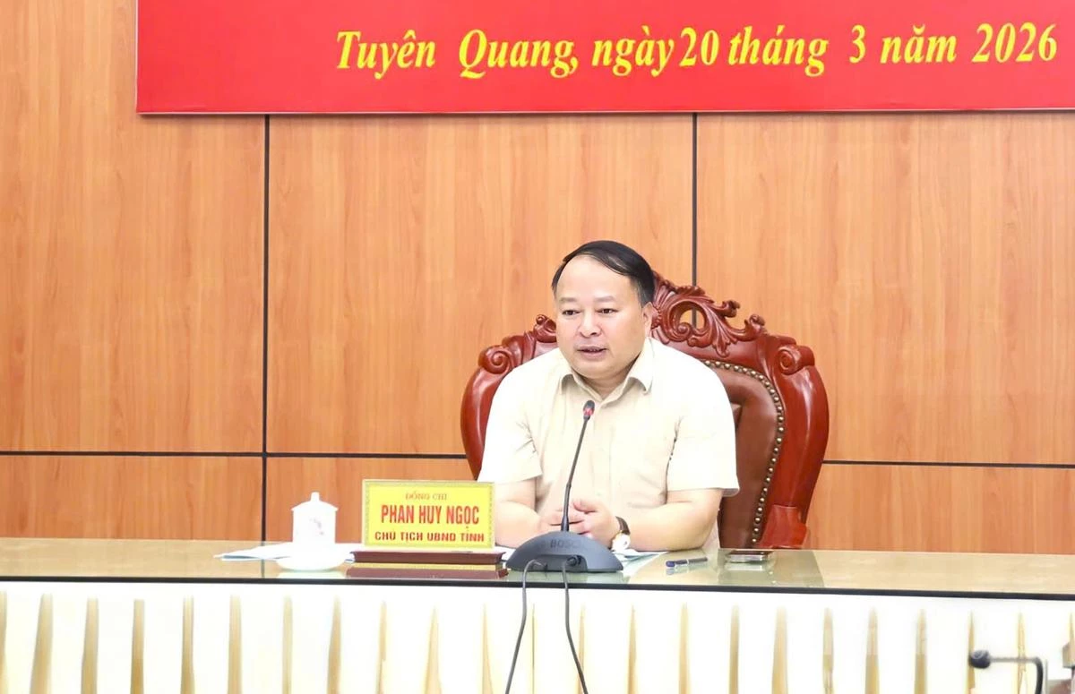 Chủ tịch UBND tỉnh Phan Huy Ngọc kết luận tại buổi làm việc.