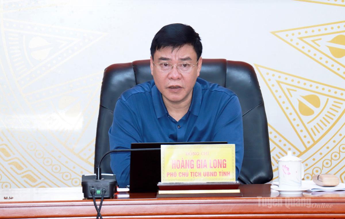 Phó Chủ tịch UBND tỉnh Hoàng Gia Long phát biểu tại buổi làm việc.