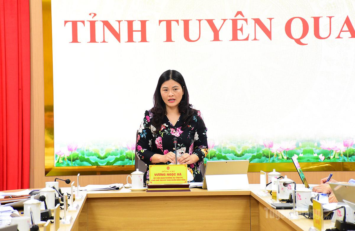 Đồng chí Vương Ngọc Hà, Uỷ viên Ban Thường vụ Tỉnh uỷ, Phó Chủ tịch UBND tỉnh phát biểu kết luận buổi làm việc.