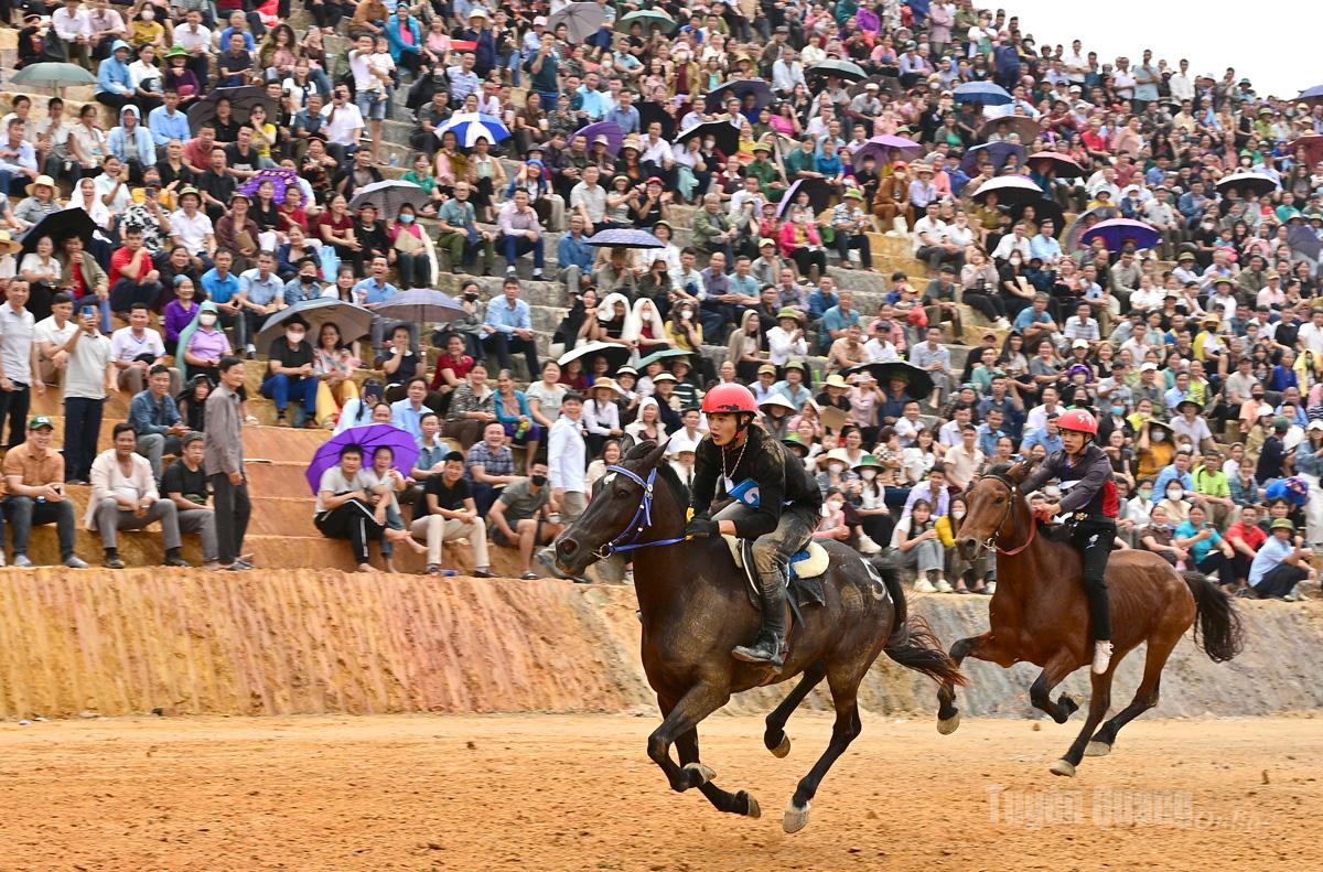 Giải đua ngựa Phù Lưu năm nay thu hút hơn 50 chiến mã đến từ các tỉnh phía Bắc.