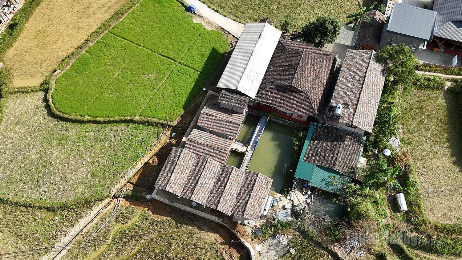 The destination is particularly favoured by international tourists for its natural beauty and the cultural charm of local ethnic communities. The peaceful village, nestled beside a clear stream, offers a rare sense of tranquility seldom found in urban life.