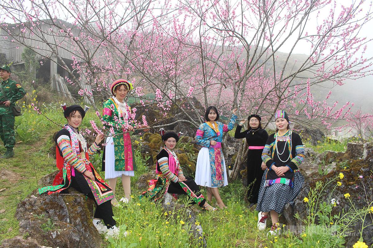 Women from ethnic communities in traditional costumes pose beside peach trees in full bloom, adding vivid colors to the highland spring landscape.