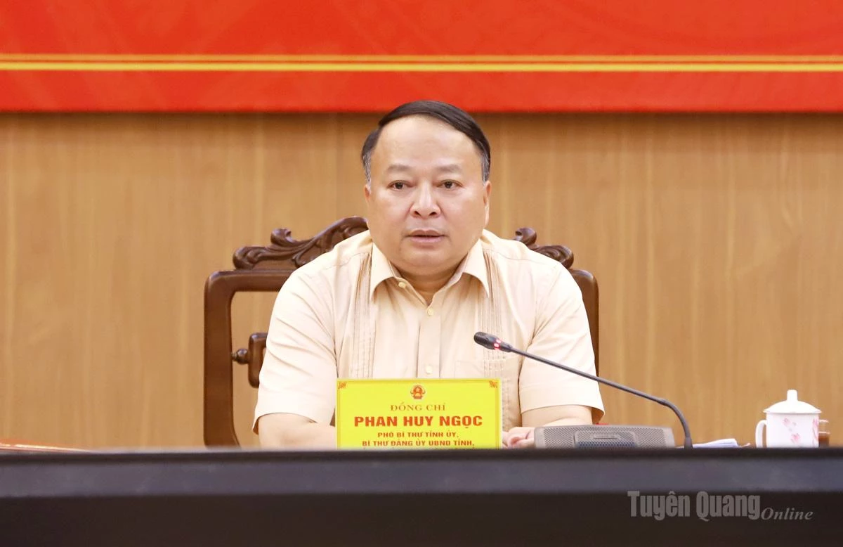 Đồng chí Chủ tịch UBND tỉnh Phan Huy Ngọc phát biểu kết luận hội nghị.