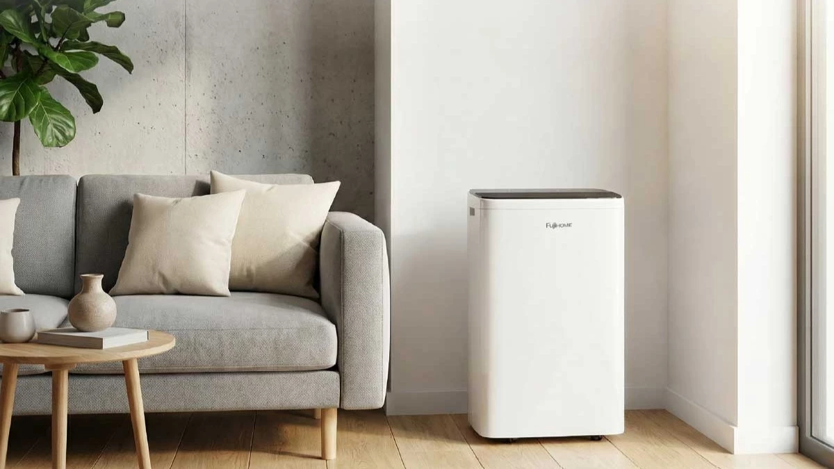 Mang lại không gian sống khô thoáng, dễ chịu