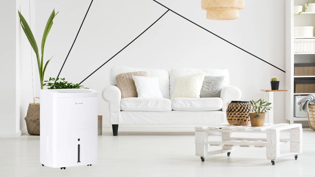 Giúp không gian nhà cửa trở nên thoáng mát hơn