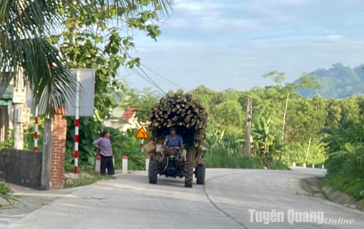 Quy định mới về hoạt động của xe thô sơ, xe chở người và hàng hóa 4 bánh tại Tuyên Quang