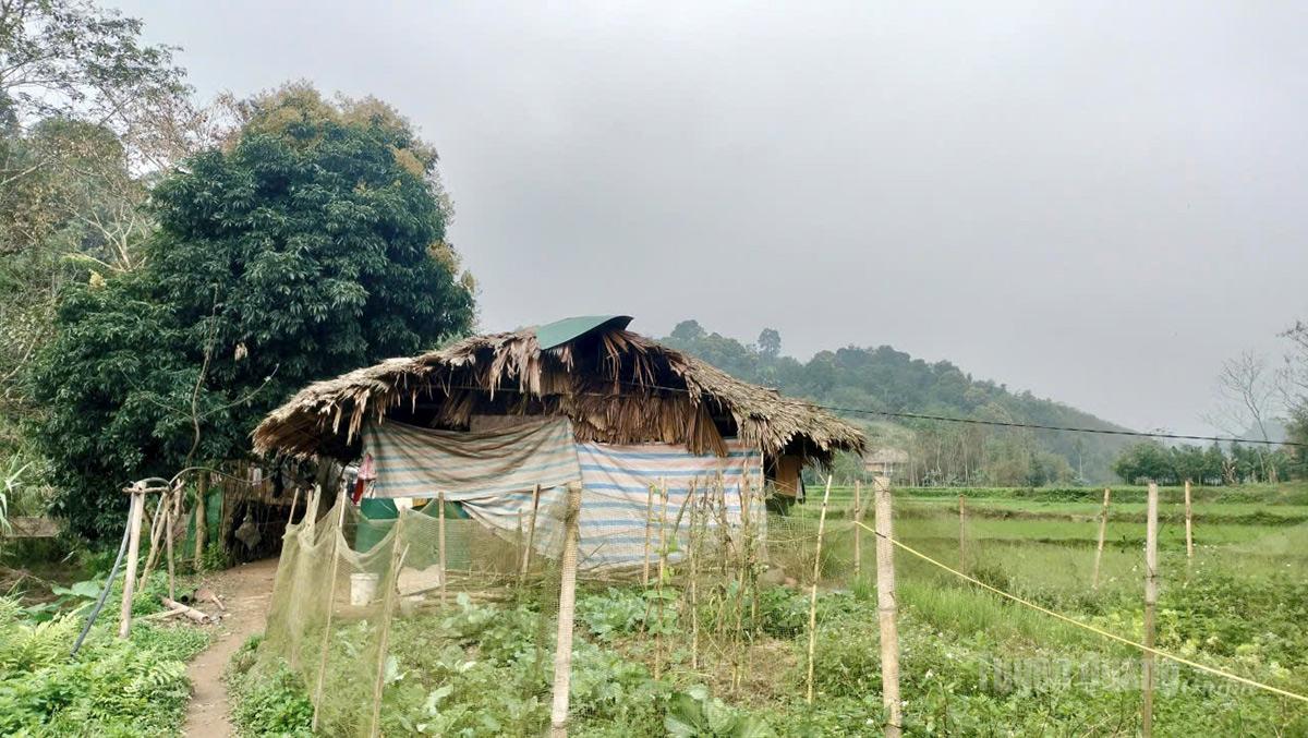 Căn nhà dựng tạm của gia đình anh Hoàng Văn Cương, thôn Thượng Bằng, xã Bằng Lang, tỉnh Tuyên Quang.