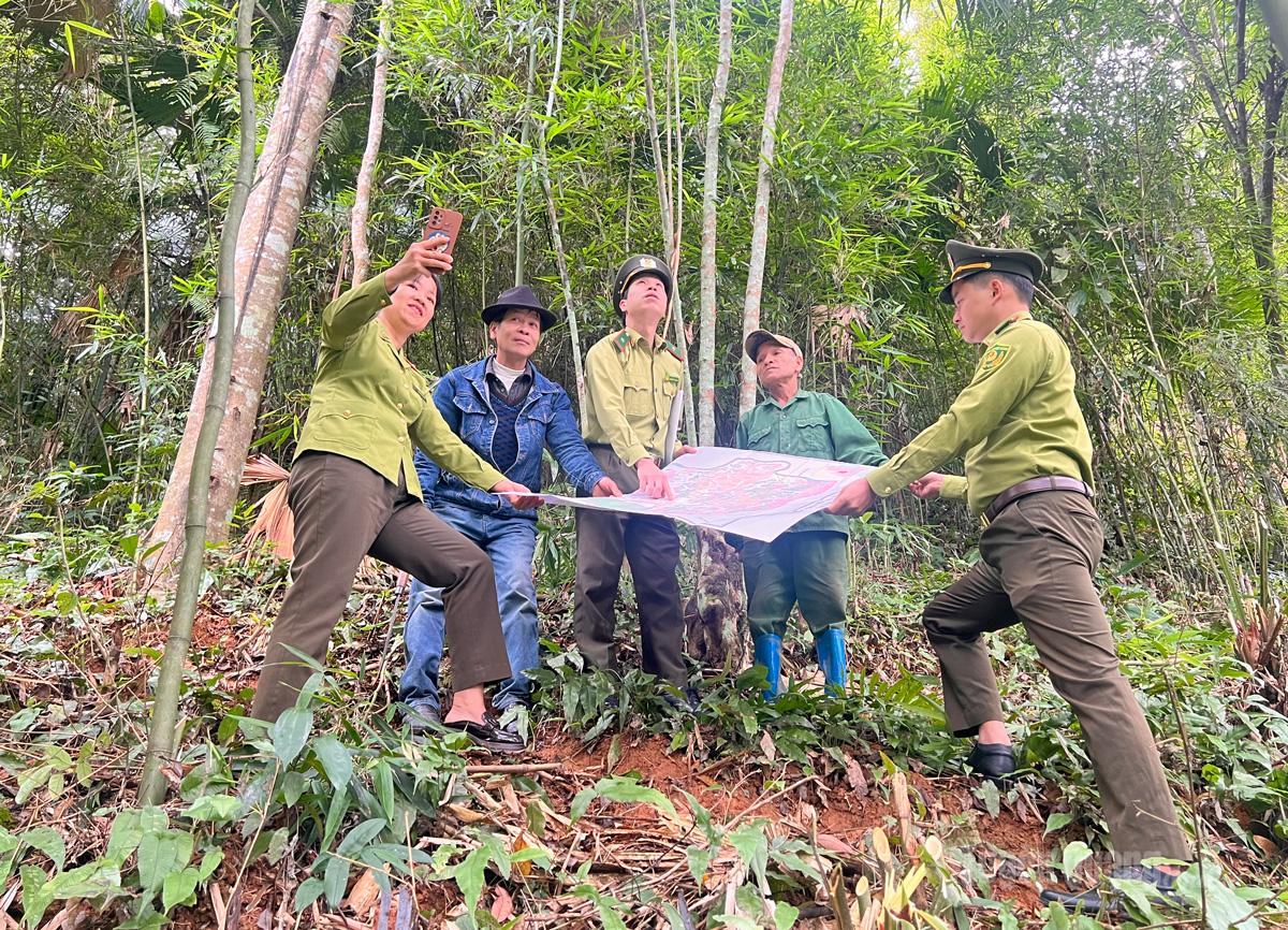Nhân lên màu xanh hy vọng